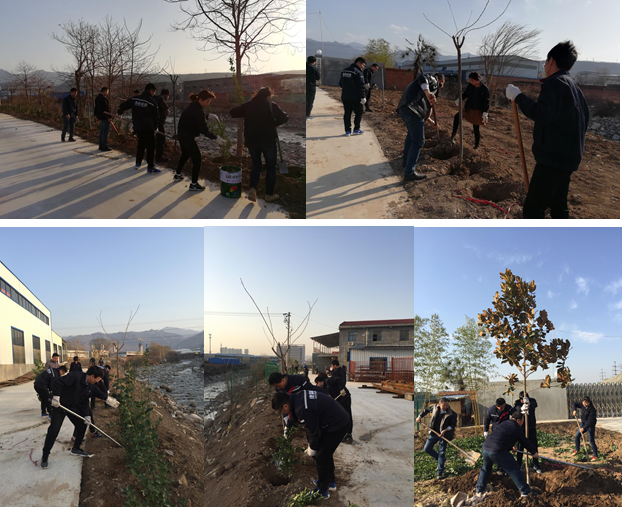 寶雞捷銳“迎春風(fēng)，綠家園”植樹節(jié)(圖1)